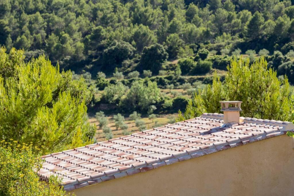 Aigues-Vives  L'Arbre A Soleil 빌라 외부 사진