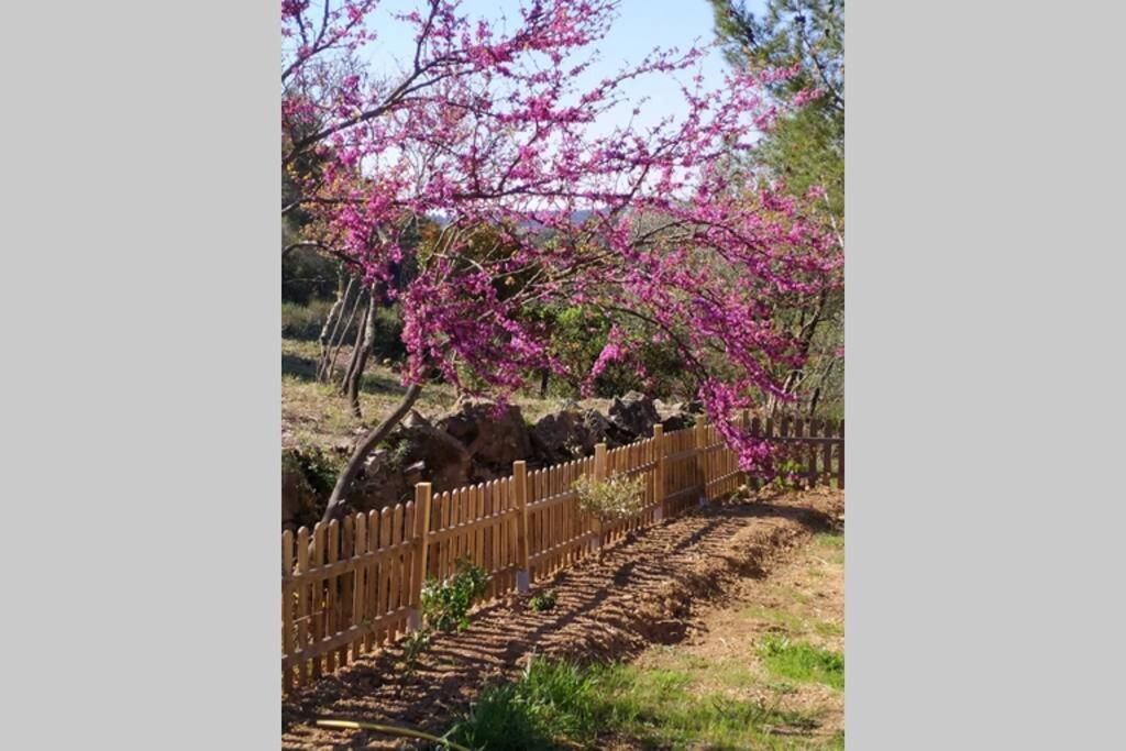 Aigues-Vives  L'Arbre A Soleil 빌라 외부 사진