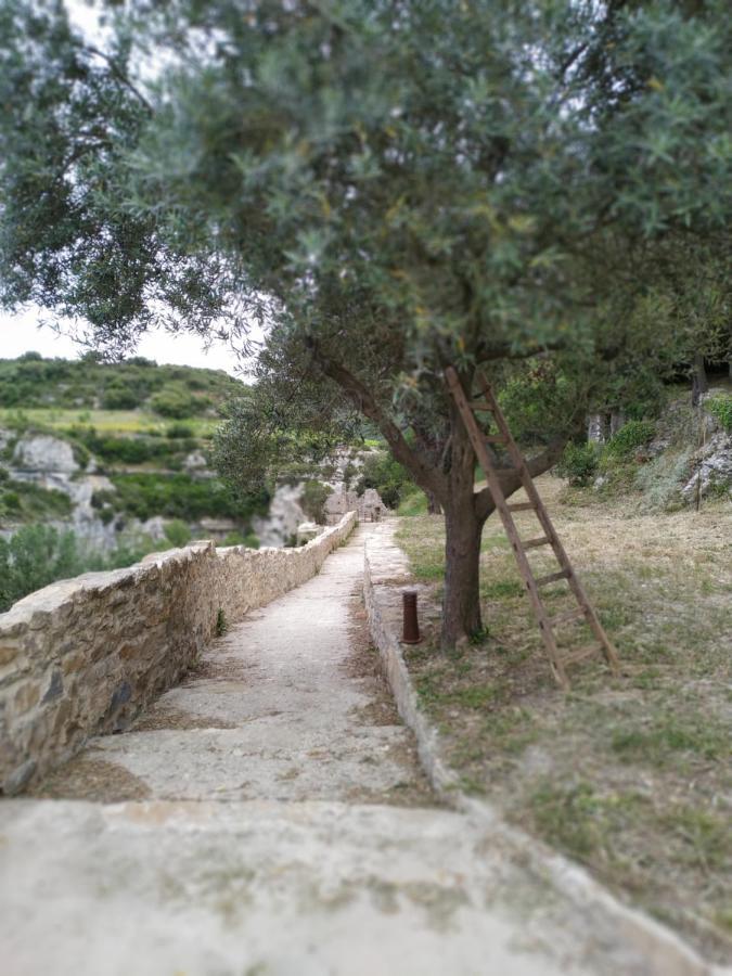 Aigues-Vives  L'Arbre A Soleil 빌라 외부 사진